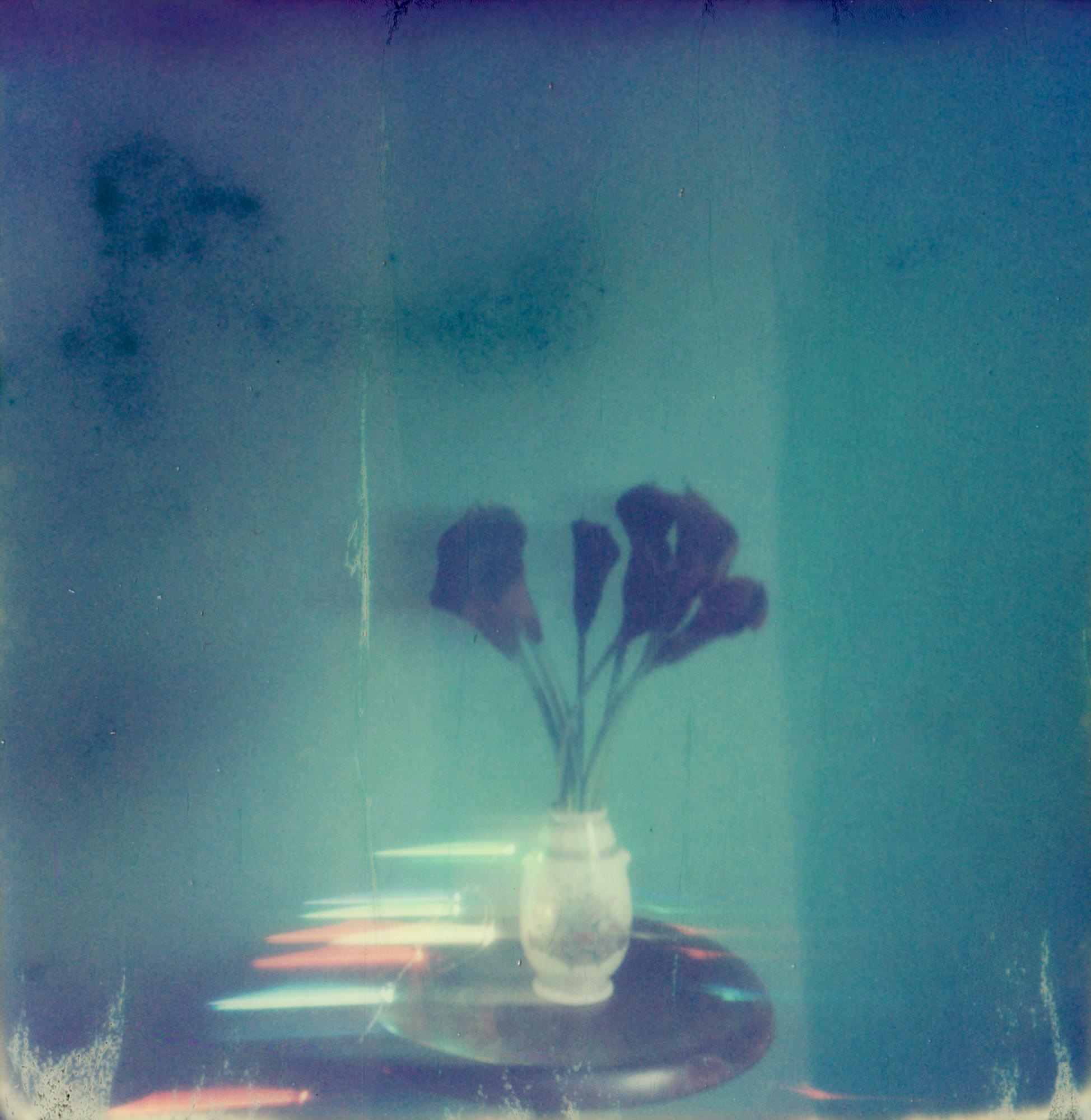 Lisa Toboz Color Photograph - Lilies - Contemporary, Woman, Polaroid