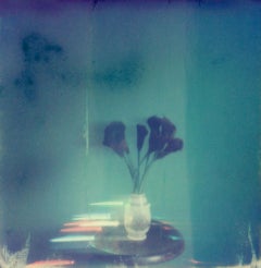 Lilies - Contemporary, Woman, Polaroid