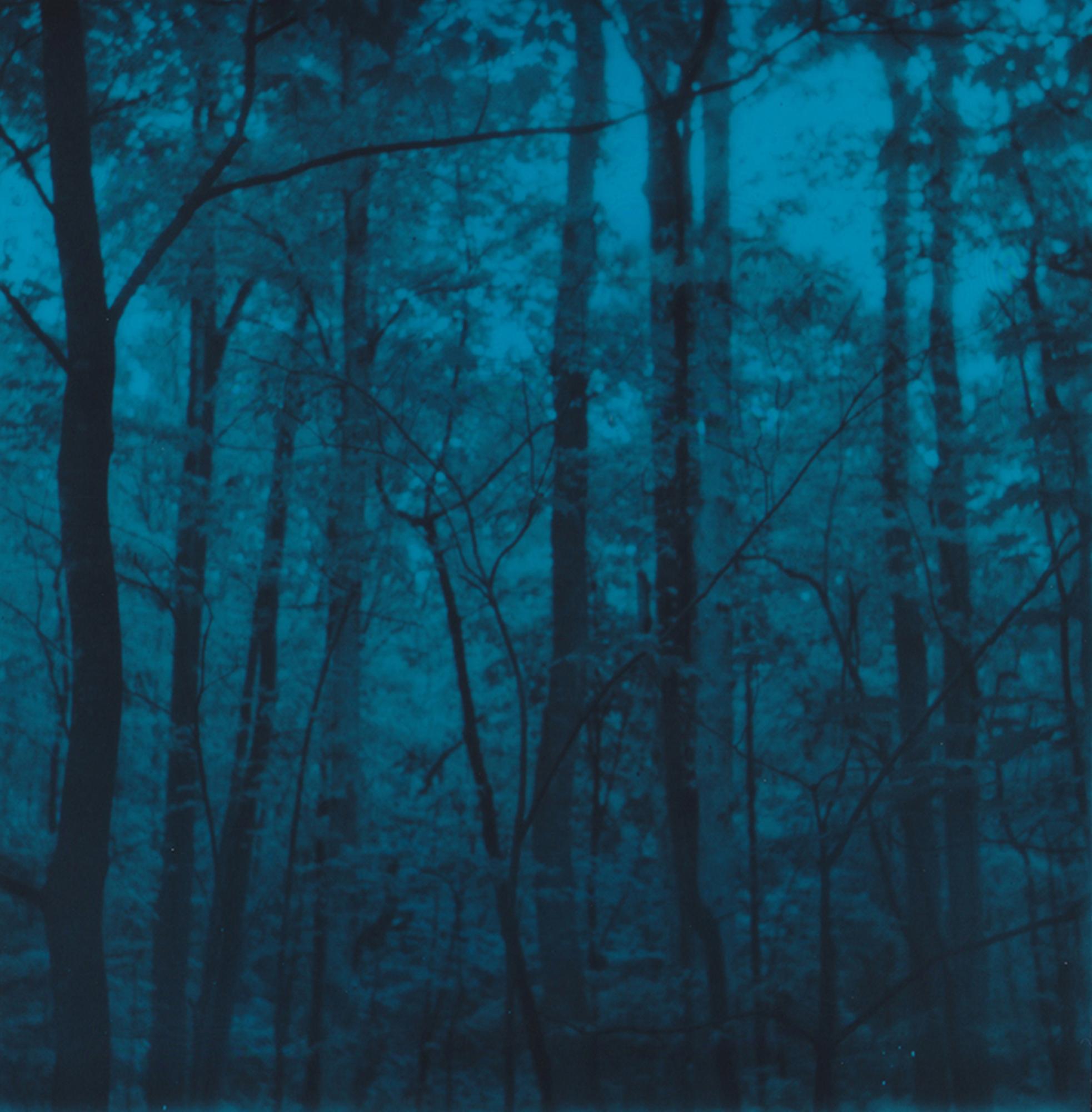 Lisa Toboz Landscape Photograph - On the Edge of Blue Ridge- Contemporary, Woman, Polaroid, Landscape, Color, 21st