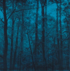 On the Edge of Blue Ridge- Contemporary, Woman, Polaroid, Landscape, Color, 21st