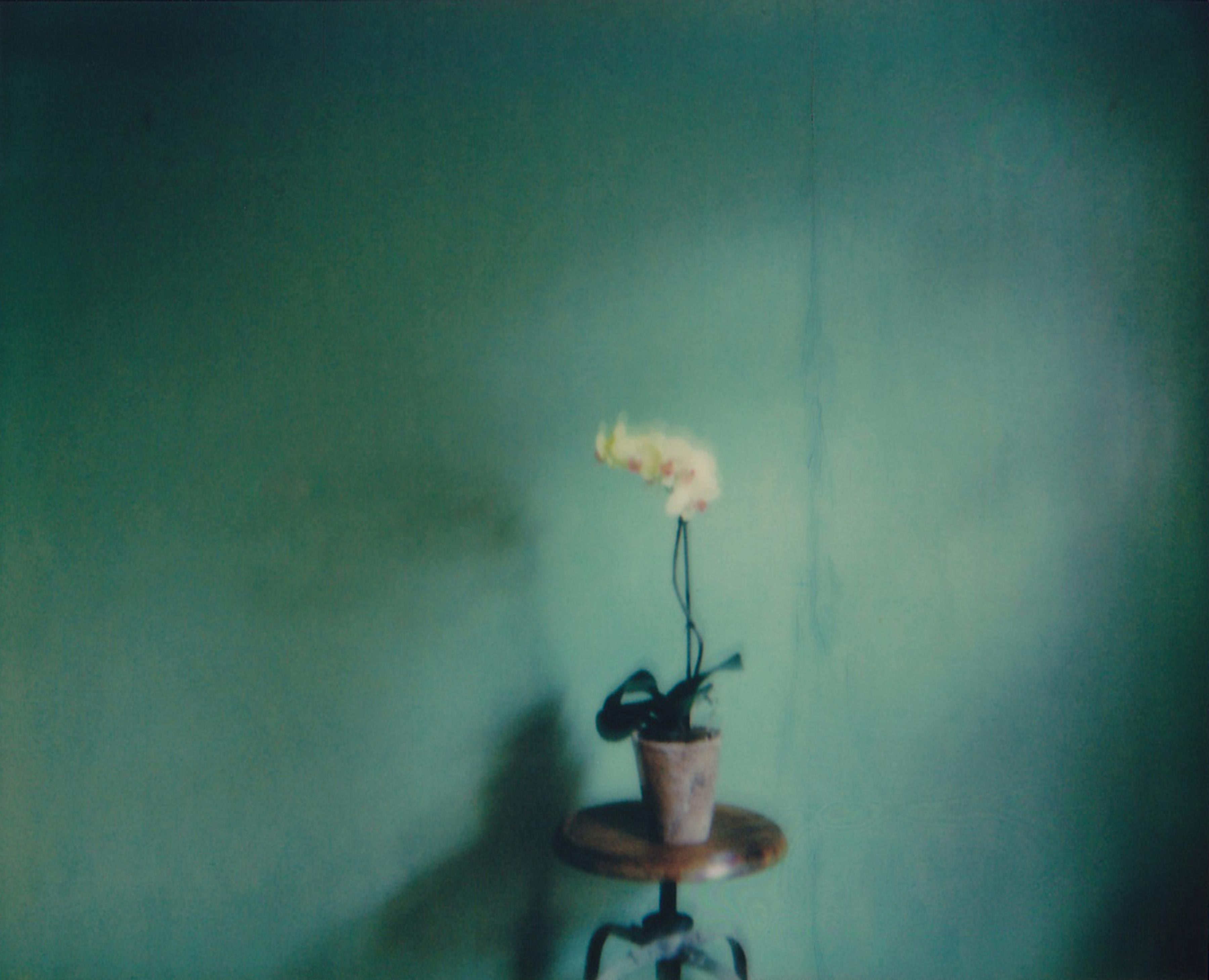 Lisa Toboz Color Photograph - Still Life in Yellow - Contemporary, Polaroid, Photography, Color, 21st Century