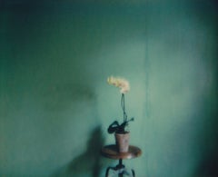 Stillleben in Gelb – Zeitgenössisch, Polaroid, Fotografie, Farbe, 21. Jahrhundert