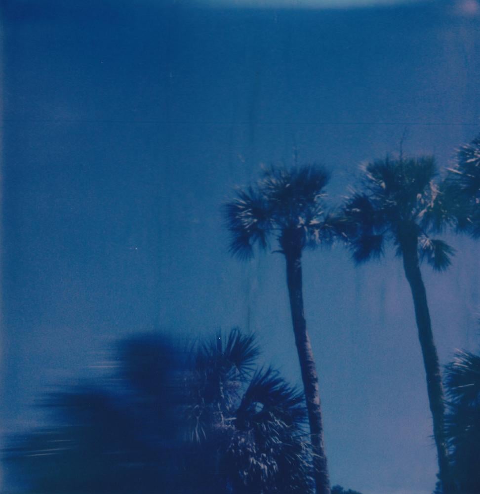 Lisa Toboz Portrait Photograph - Vacation - Contemporary, Woman, Polaroid, Palm Trees, 21st Century, Color