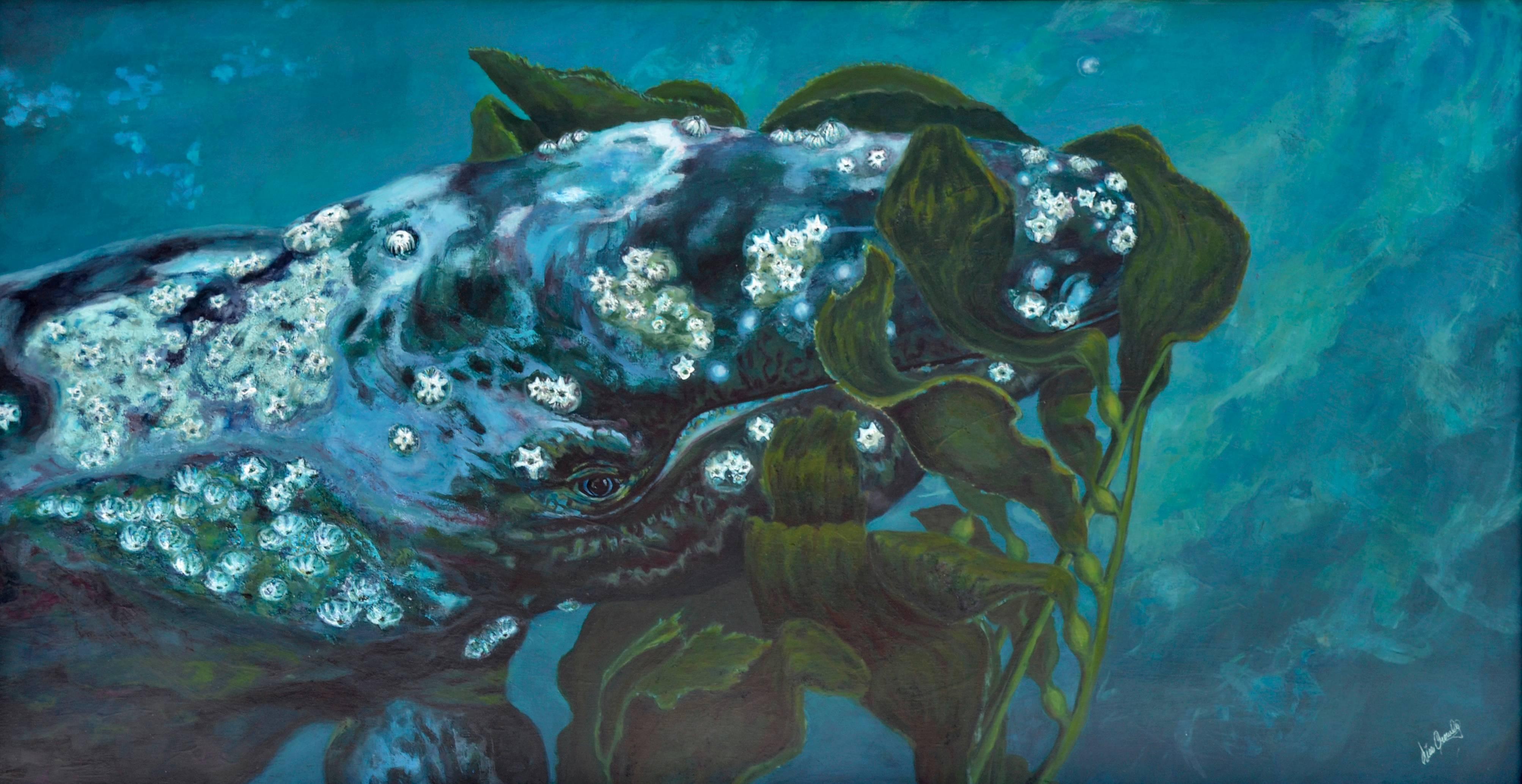 Grey Whale Eating Kelp  - Painting by Lise Lang Crowley