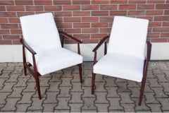 Poltrone "Lisek" 300-190, design di H. Lis, Polonia, anni '60.