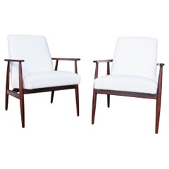 "Lisek" 300-190 armchairs, designed by H. Lis, Poland, 1960s.