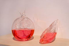 Pomegranate (abdomen)