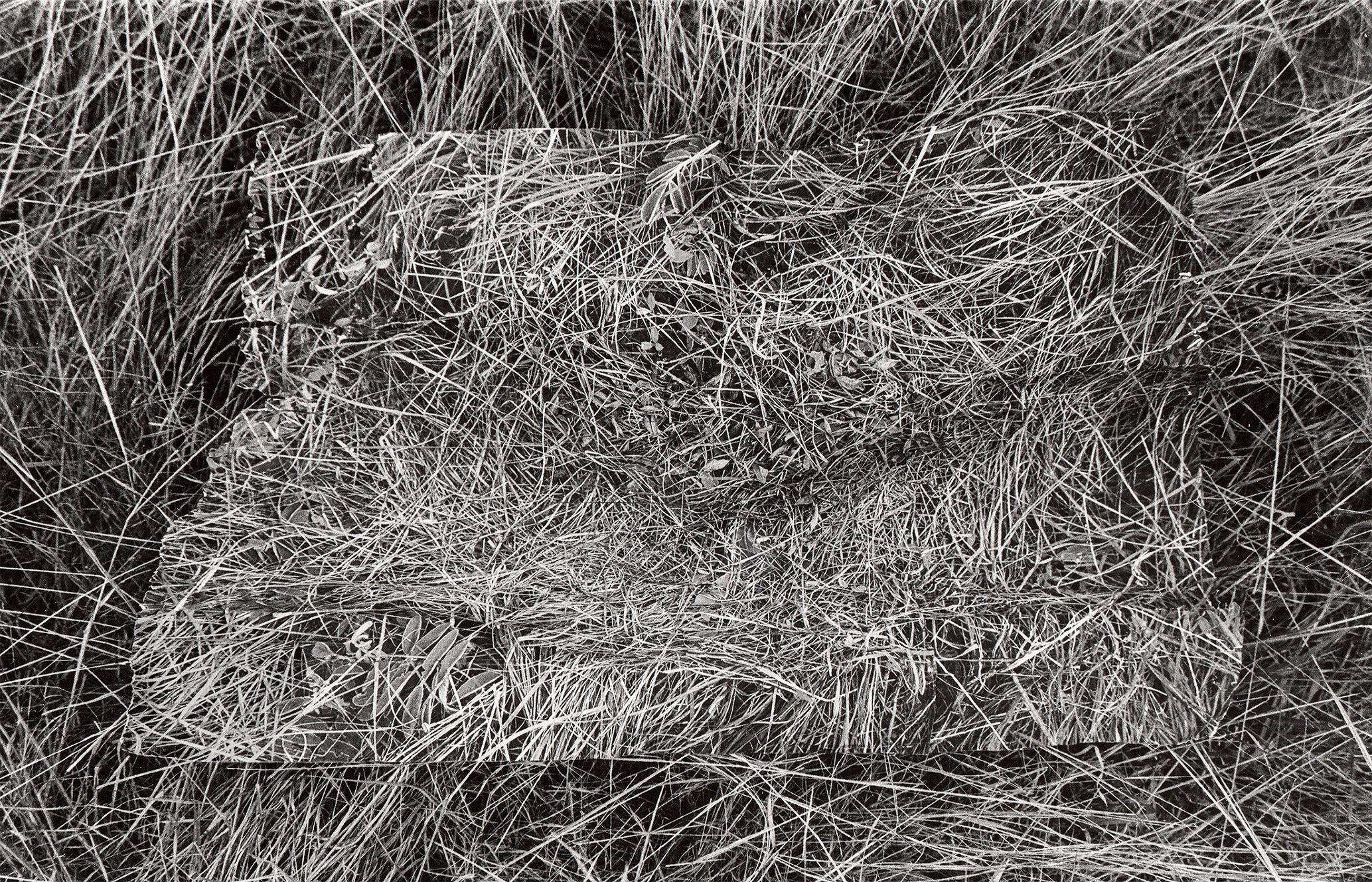 Lissette Jiménez Landscape Photograph - Foto marcador