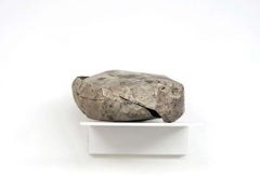 Piedra Fotográfica