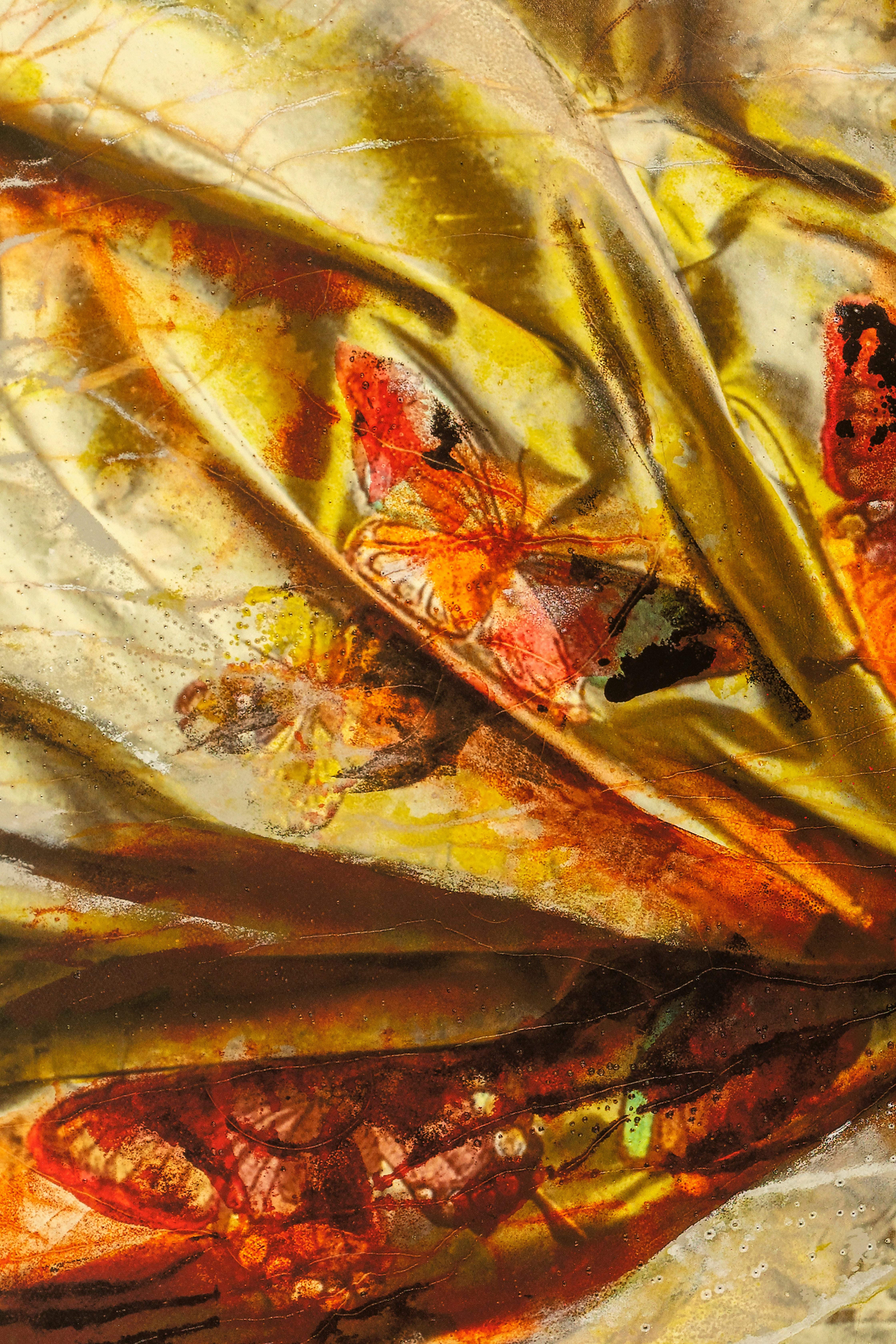 Le secret derrière le voile 02, Lita Cabellut, 2019, Ed. 20, Gliceé est intervenue en vente 2