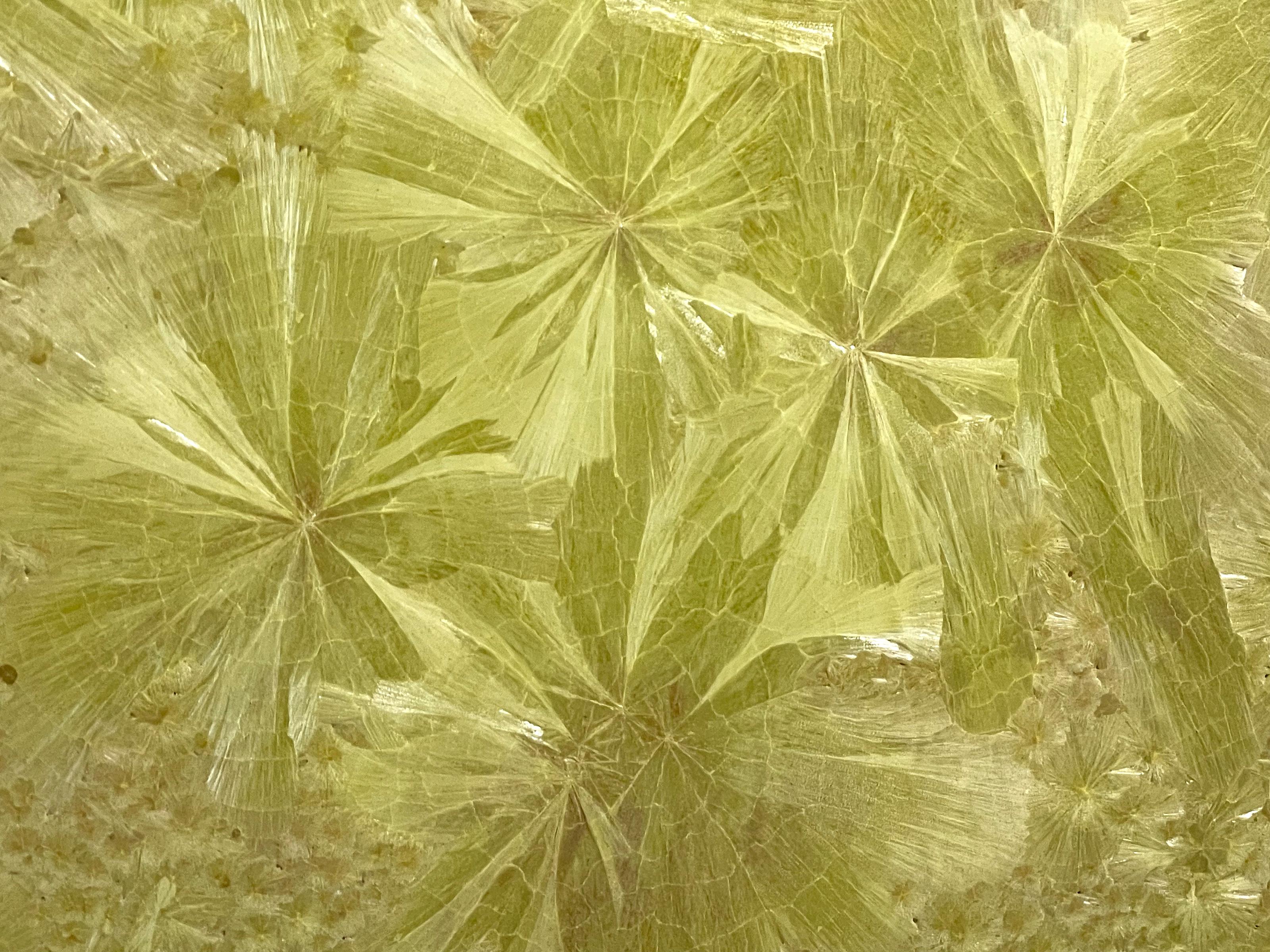 Lithium-Kristall-Blume, Keramikgemälde von William Edwards (amerikanisch) im Angebot