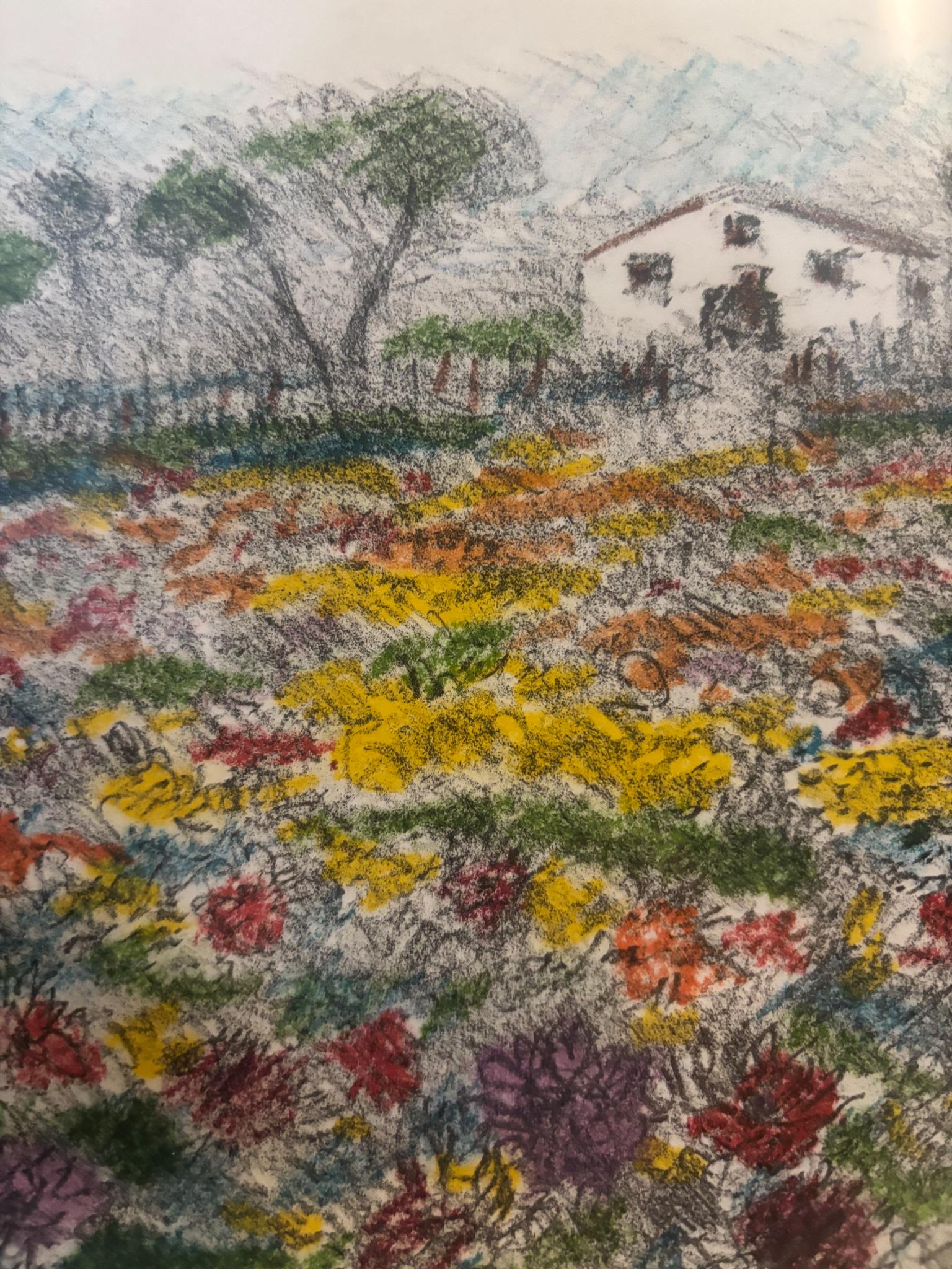Papier Lithographie 