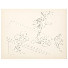 Lithograph after Original Matisse Drawing