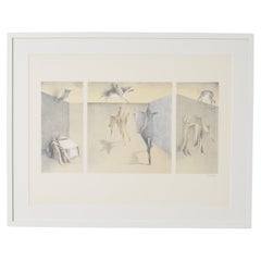 Lithograph by Albert De Bois