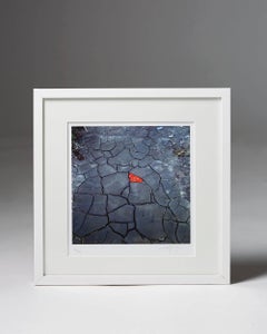 Lithograph by Andy Goldsworthy, England