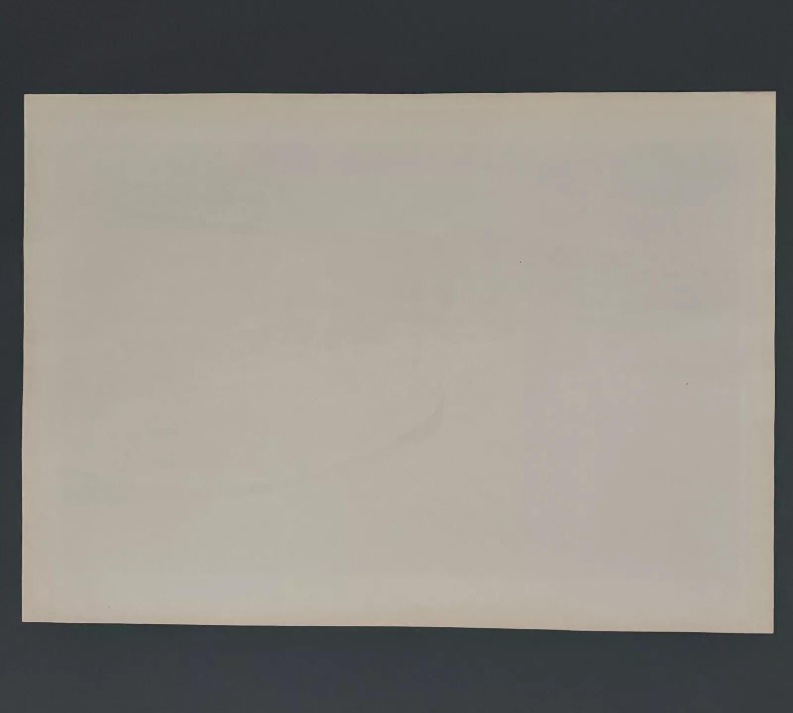Lithographie von Henri Riviere Die Brücke von Saints-Pères und der Louvre im Angebot 2