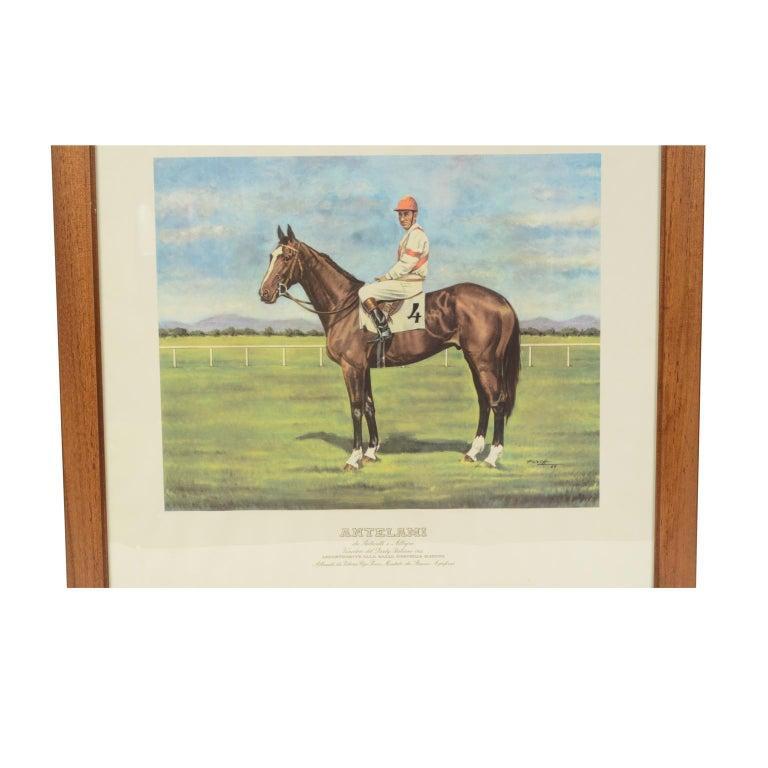 Lithograph on paper made in the 1990s from a painting depicting Antelami winner of the 1962 Italian Derby, ridden by Bruno Agriformi. With frame 66.5x61 cm, frame thickness 1.5 cm. Very good condition.
The 