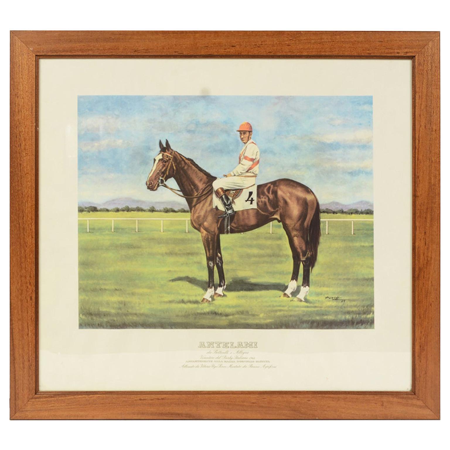 Litografía que representa al caballo ganador del Derby italiano de 1962