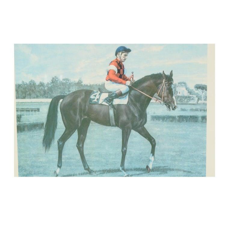 Lithograph Depicting the Horse Winner of the 1983 Italian Derby In Good Condition For Sale In Milan, IT