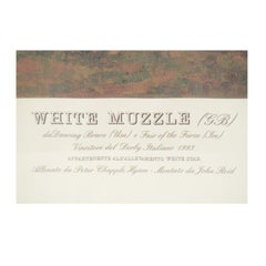 Litografia che raffigura il cavallo vincitore del Derby italiano del 1990