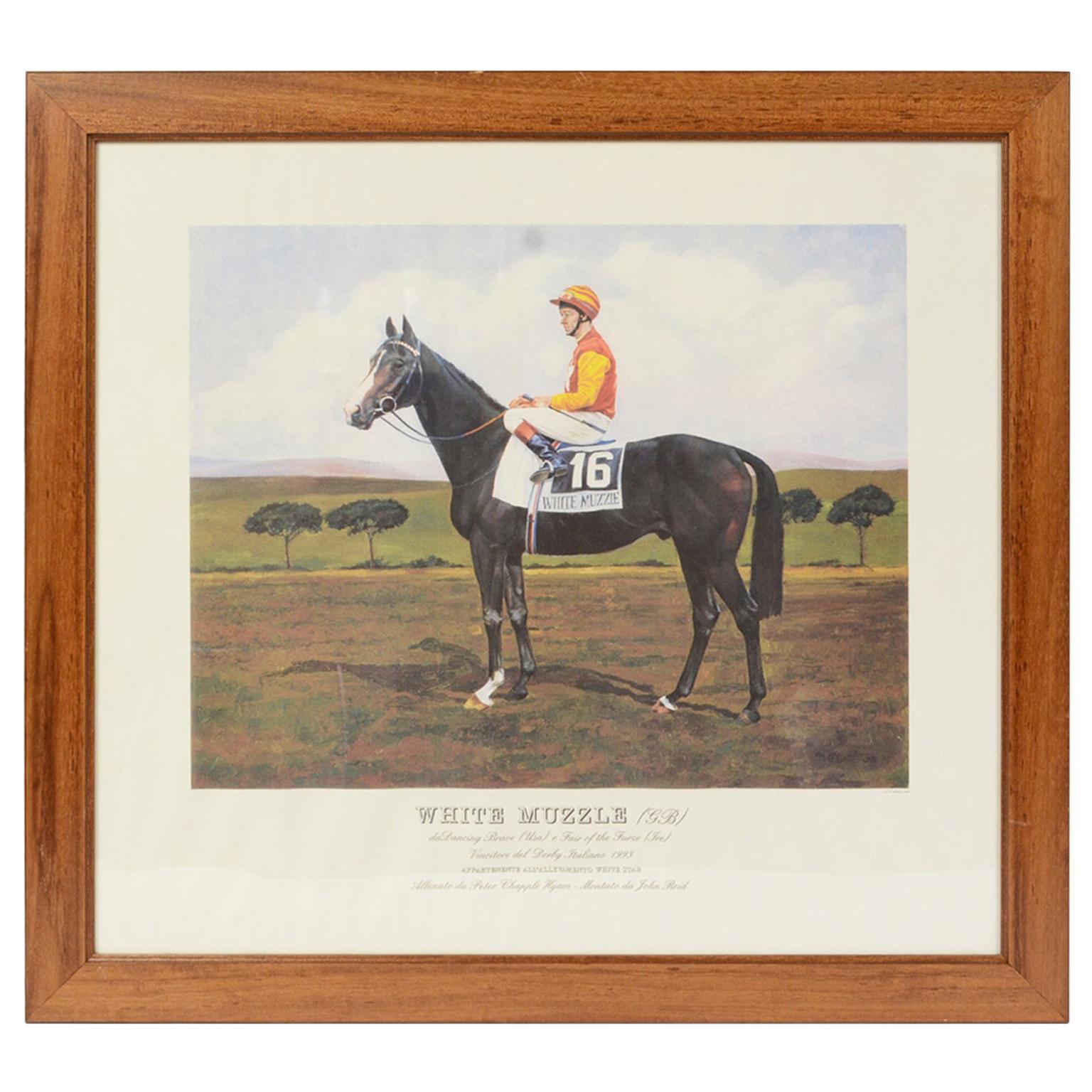 Lithographie, die den Pferdegewinner des italienischen Derbys 1993 darstellt