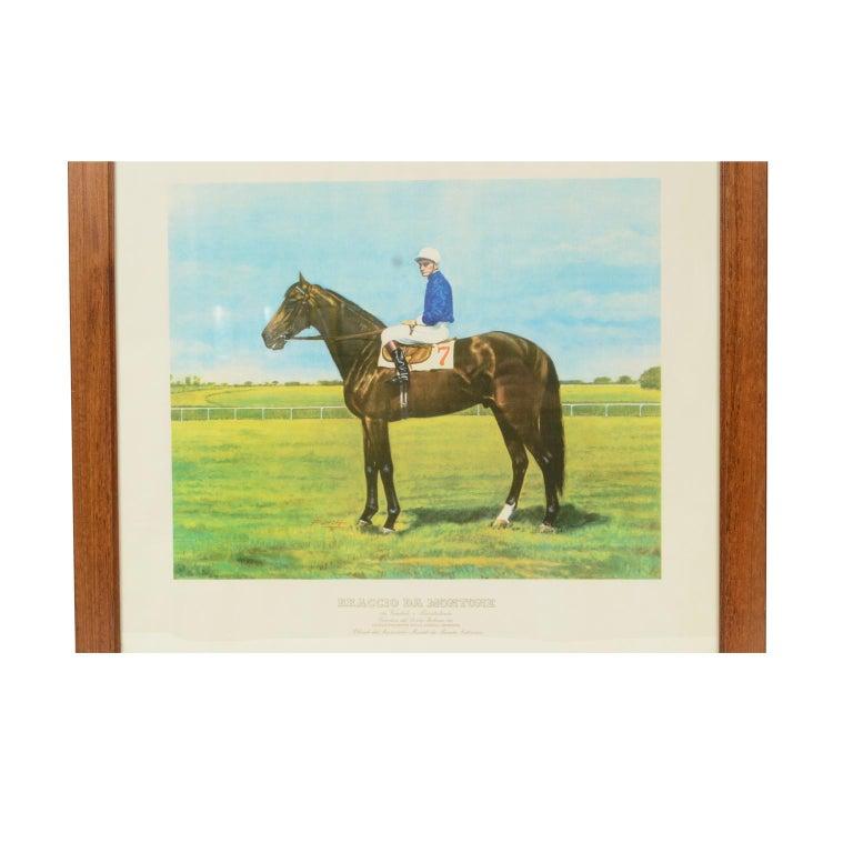 Lithograph on paper made in the 1990s from a painting depicting Braccio da Montone winner of the 1963 Italian Derby, ridden by Renato Antonuzzi. With frame 66.5 x 61 cm, frame thickness 1.5 cm. Very good condition.
The 
