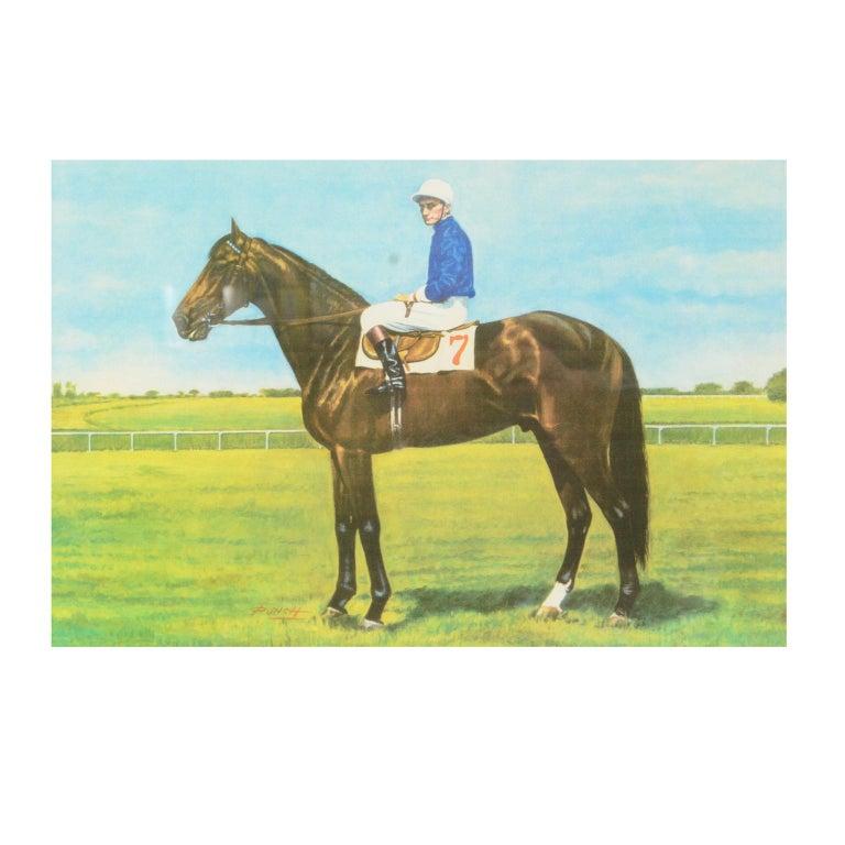Lithograph Depicting the Horse Winner of the Italian Derby in 1963 In Good Condition For Sale In Milan, IT