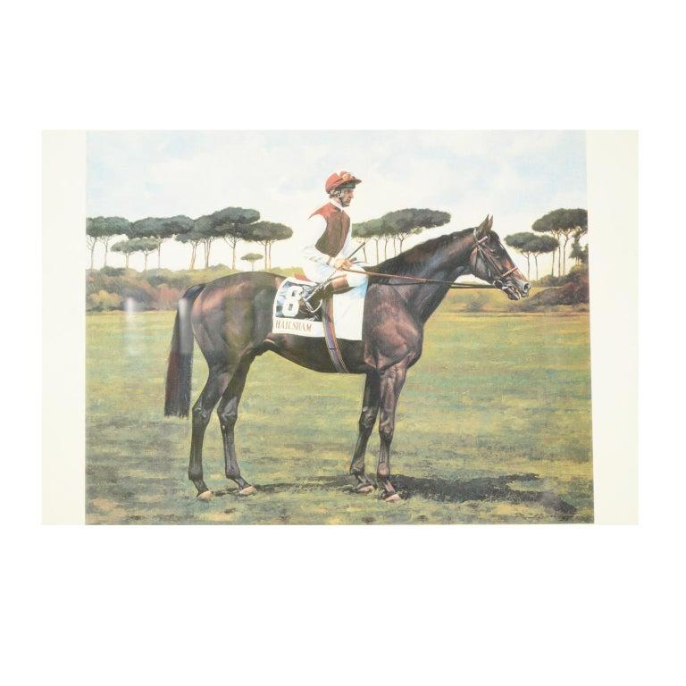Lithographie auf Papier aus den 1990er Jahren nach einem Gemälde, das Hailsham, den Sieger des Italienischen Derbys 1991, geritten von Steve Cauthen, zeigt. Mit Rahmen 66,5x61 cm, Rahmenstärke 1,5 cm. Sehr guter Zustand.
Das 