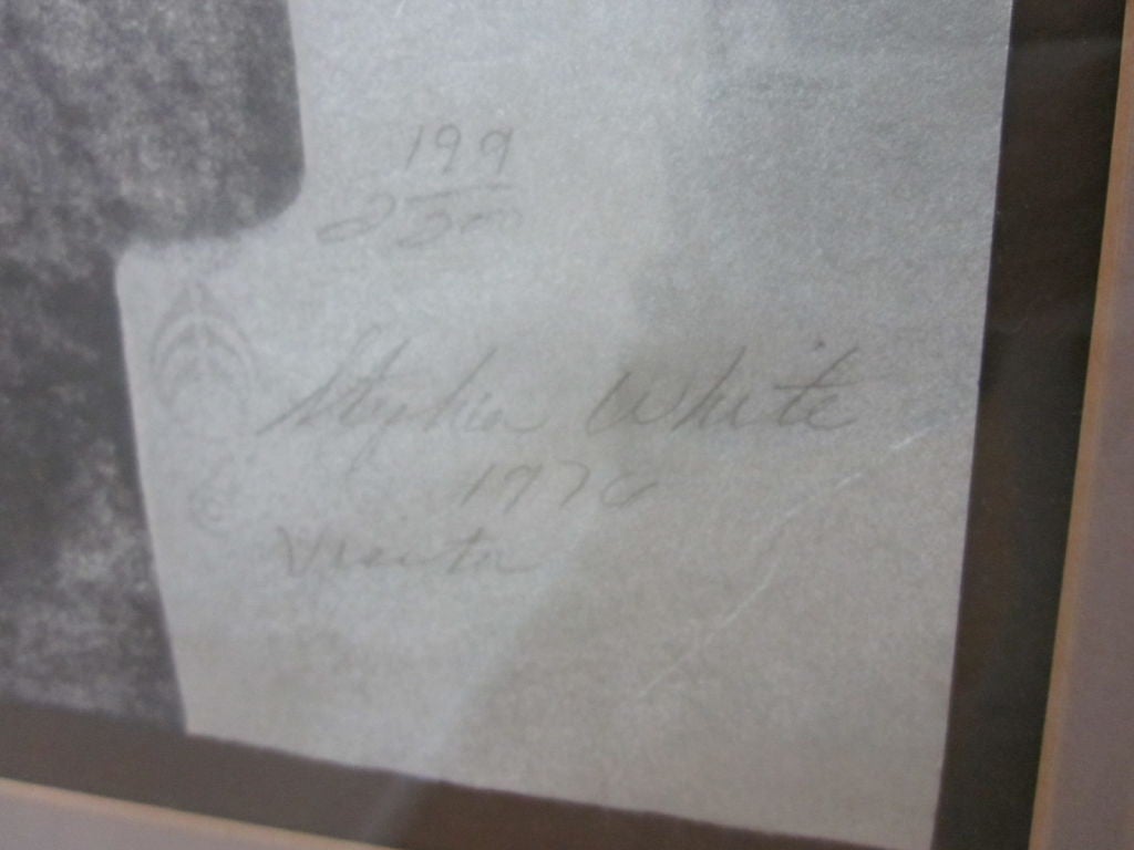 Lithographie einer Frau von Stephen White mit dem Titel „ Besucher“ (amerikanisch) im Angebot