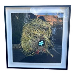 Lithograph Print of a Birds Nest, Western Tanager Piranga Ludoviciana