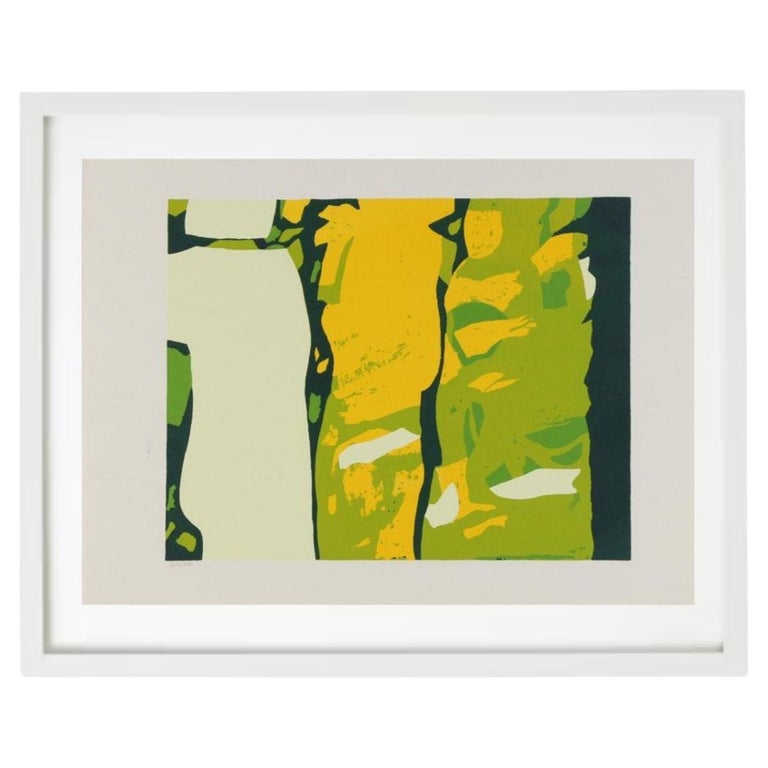 Lithograph Print on Paper by Sylvia Birch, "the Visitors" Framed in