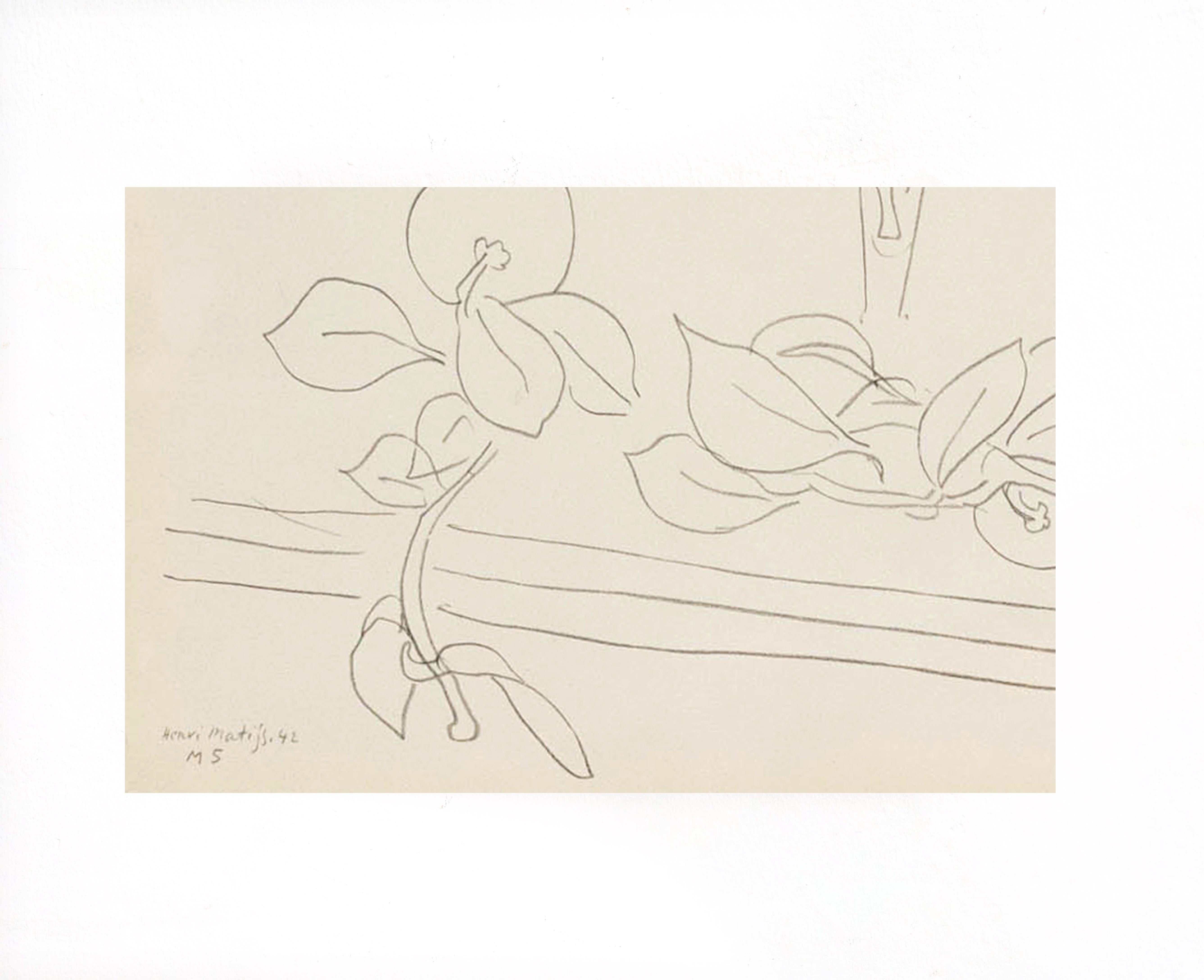 Paper Lithograph Reproduction After Henri Matisse Drawing For Sale