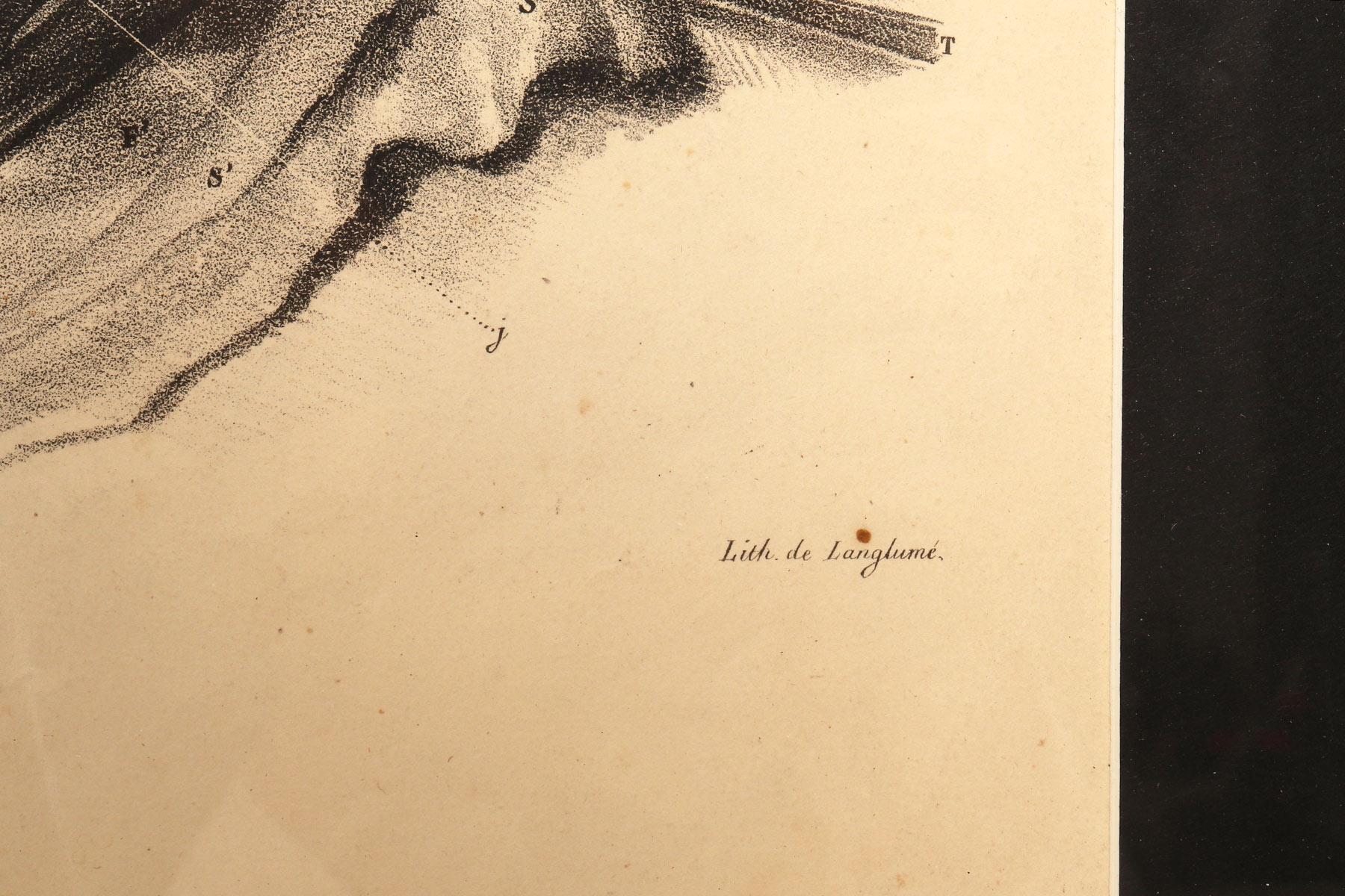Lithographischer Druck auf Papier, der das Muskelsystem eines Halsbandes darstellt, Frankreich 1850 im Zustand „Gut“ im Angebot in Milan, IT