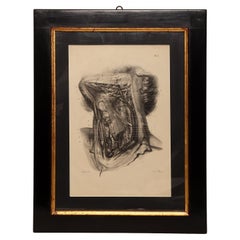 Lithographic print on paper depicting the muscular system of a neck, France 1850