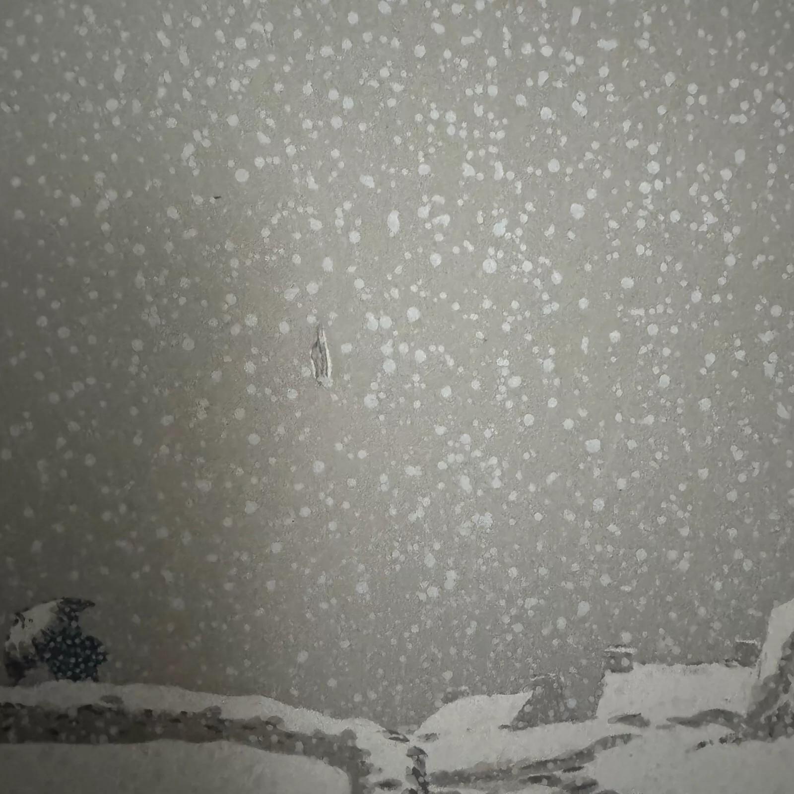 20ième siècle Lithographie par Henri Rivière La Neige en vente