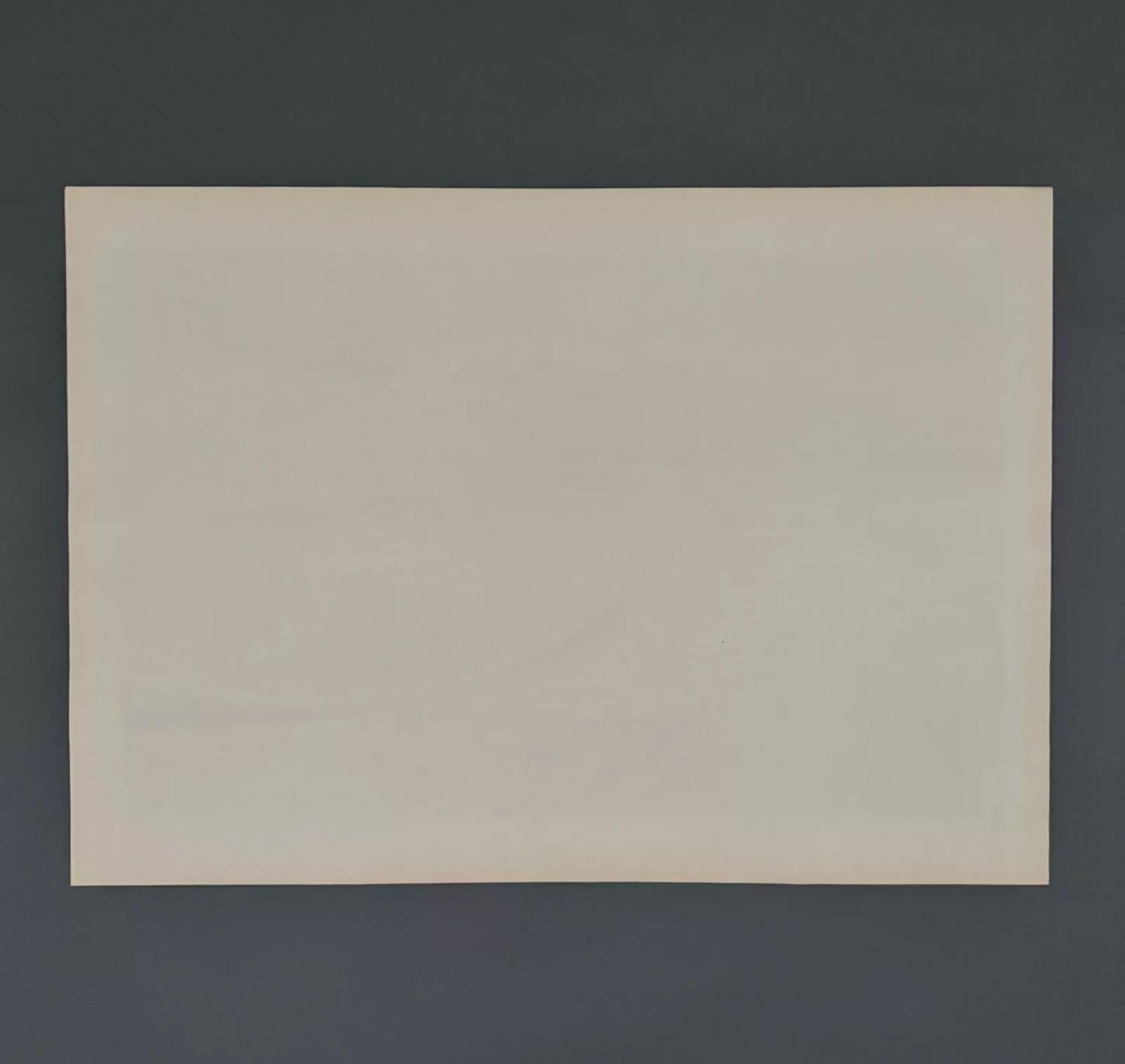 Litographie par Henri Rivière El Puente de los Santos Pedro y el Louvre en venta 7