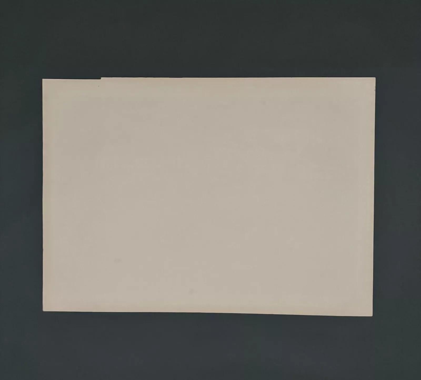 Lithographie von Henri Rivière Les Aspects de la Nature - Le Crépuscule im Angebot 3