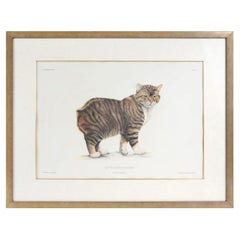 Lithografie „Katze von der Isle of Man“, Europa, zweite Hälfte des 20. Jahrhunderts