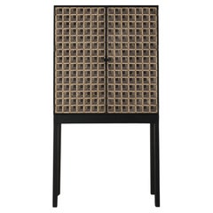 Cabinet Litica