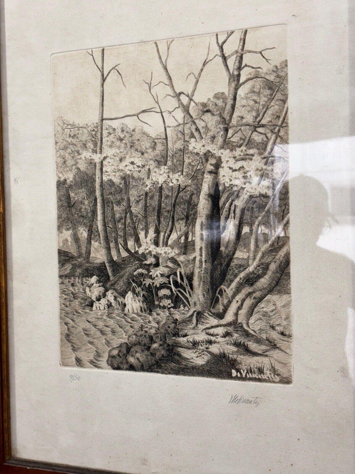 Paisaje otoñal litografía Di vincenti múltiple 9/50 en Bueno estado para la venta en Taranto, IT