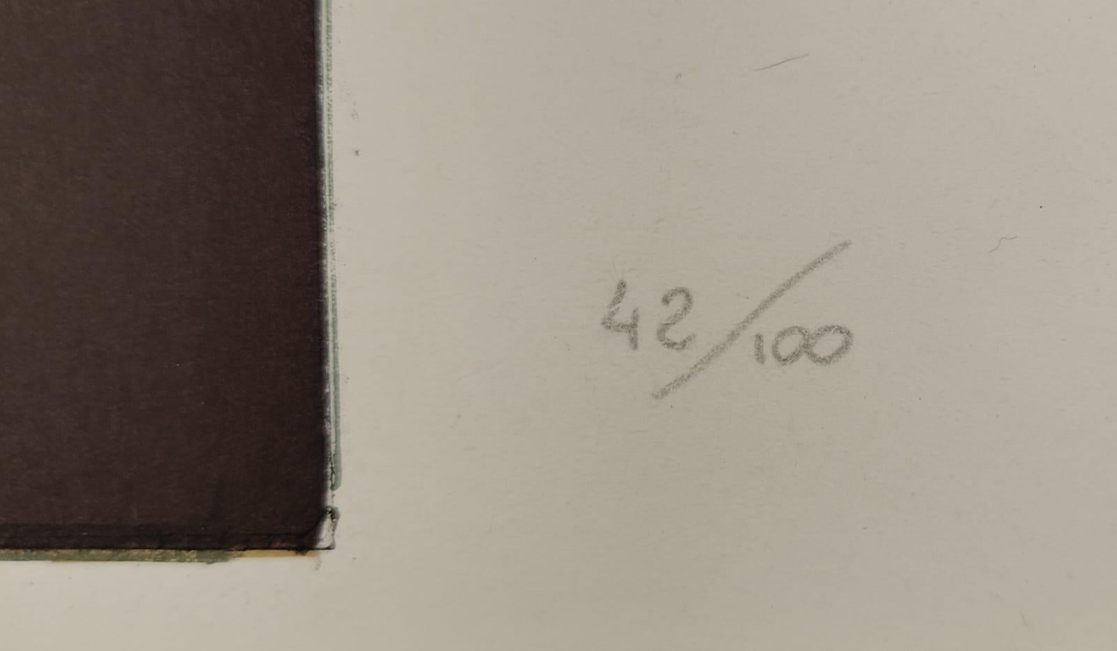 Satz von 6 Lithographien von Karl Plattner 