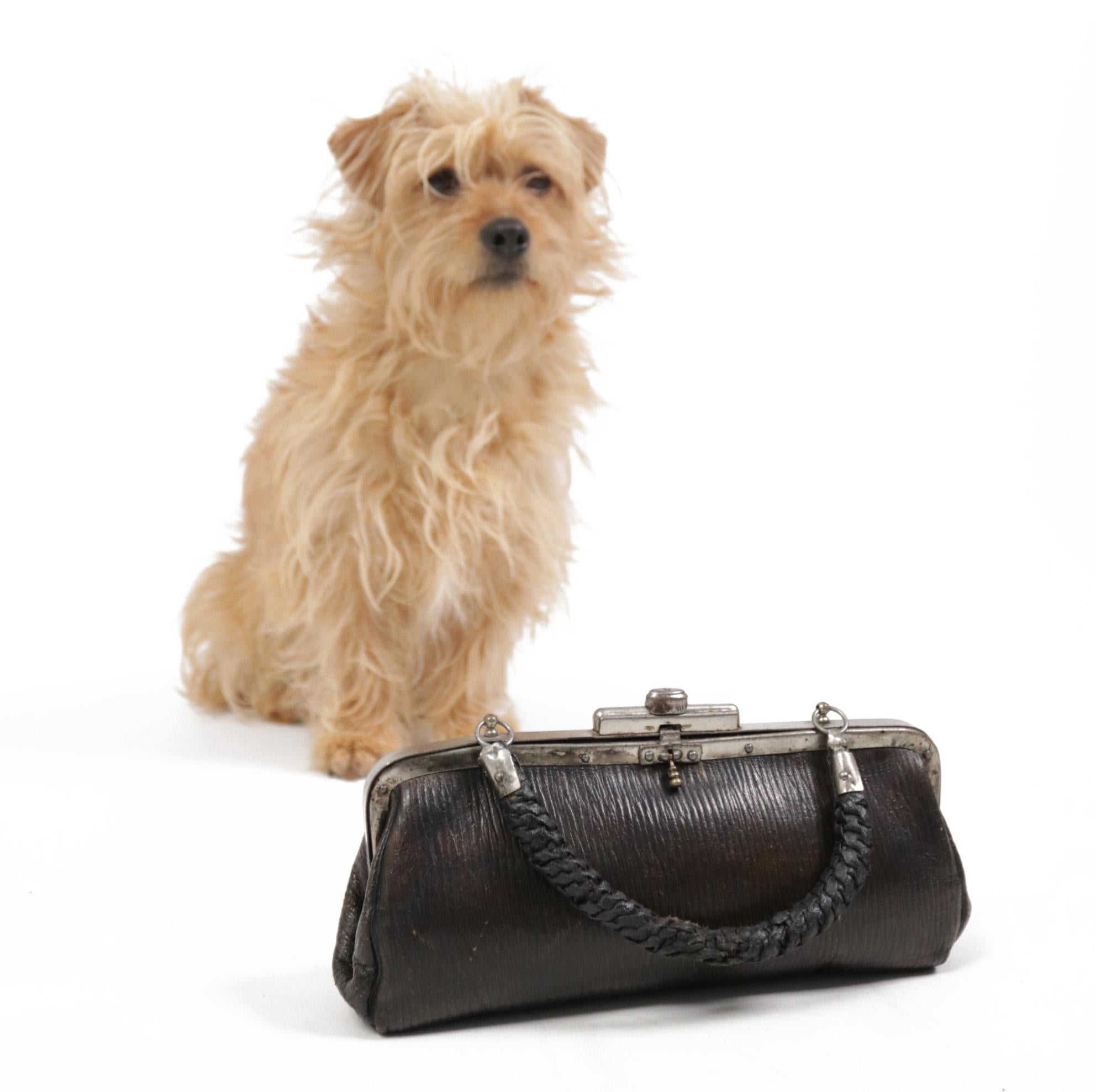 Super sweet little leather bag from the Art Deco period, circa 1920.
The ladies had their lipstick and gloves in here.
A very cute bag that is great to use for decoration, but you might want to take it also to a diner party sometimes.
The bag is