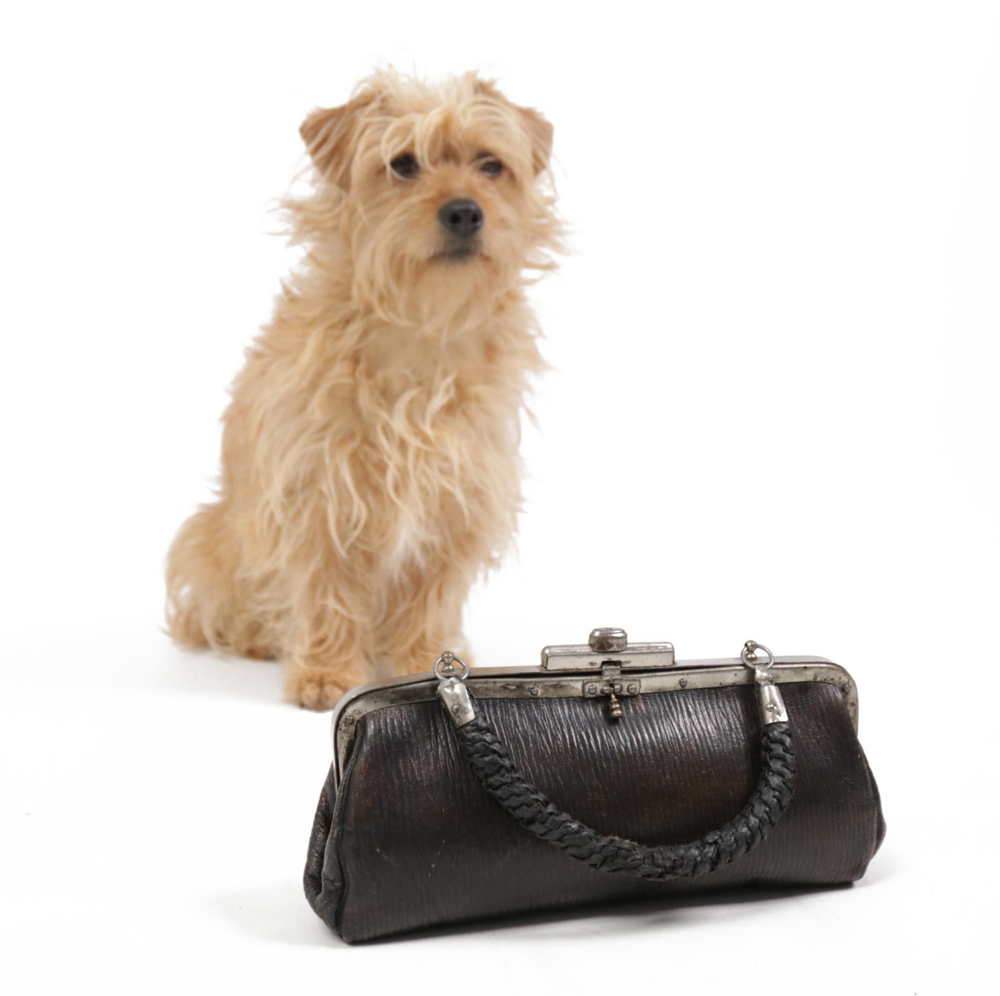 Super sweet little leather bag from the Art Deco period, circa 1920.
The ladies had their lipstick and gloves in here.
A very cute bag that is great to use for decoration, but you might want to take it also to a diner party sometimes.
The bag is