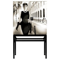 Little Black Dress Audrey Hepburn Cabinet with Art. Intervention by Axel Crieger