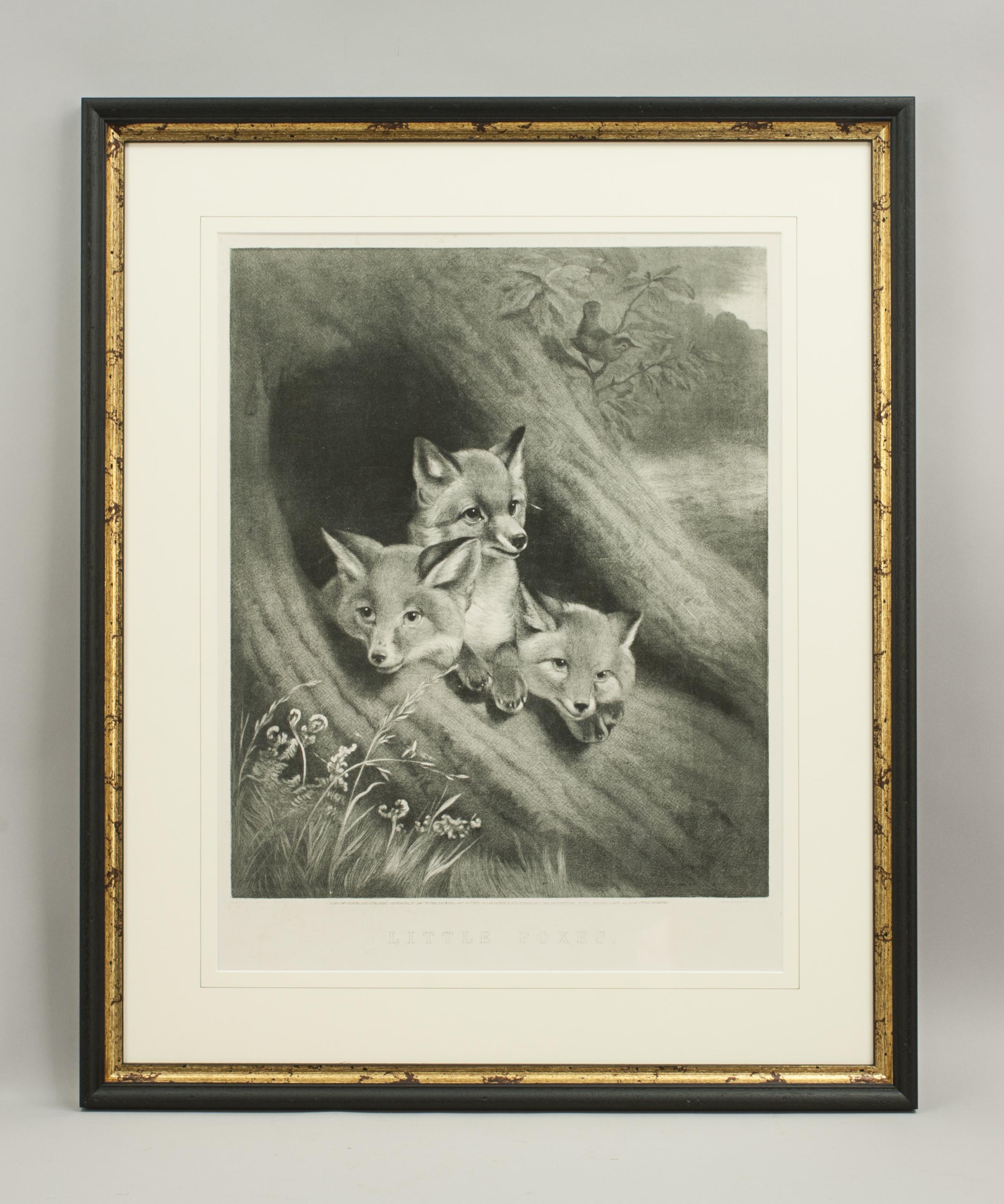 Little Foxes, Engraving by Samuel J. Carter 2