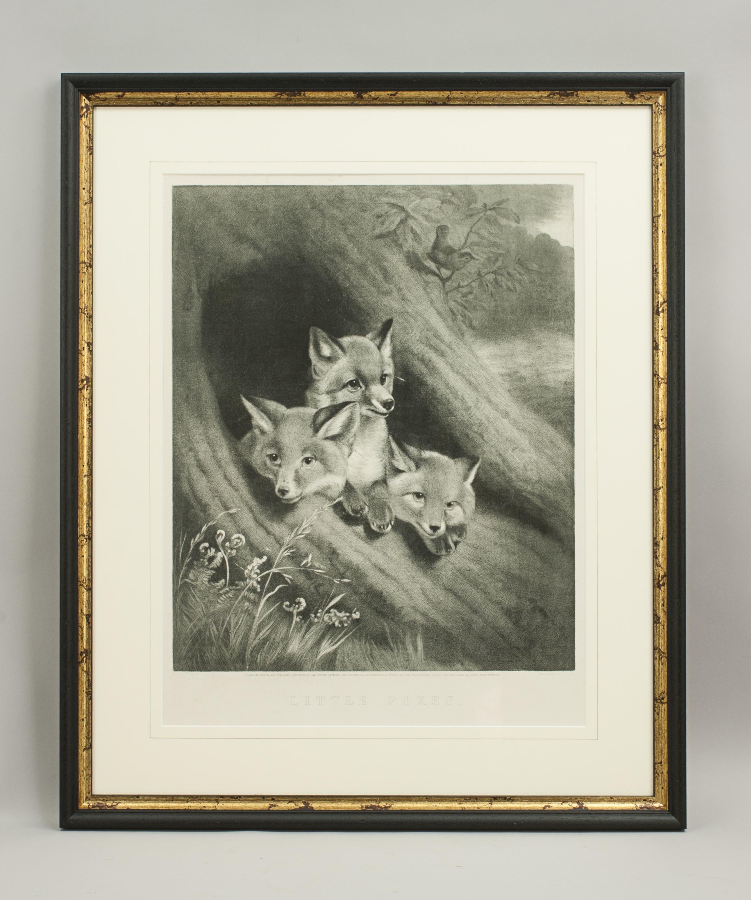 Little Foxes, Engraving by Samuel J. Carter 1