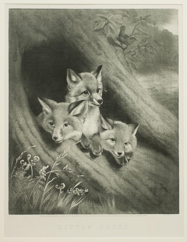 Sporting Art Little Foxes, Engraving by Samuel J. Carter