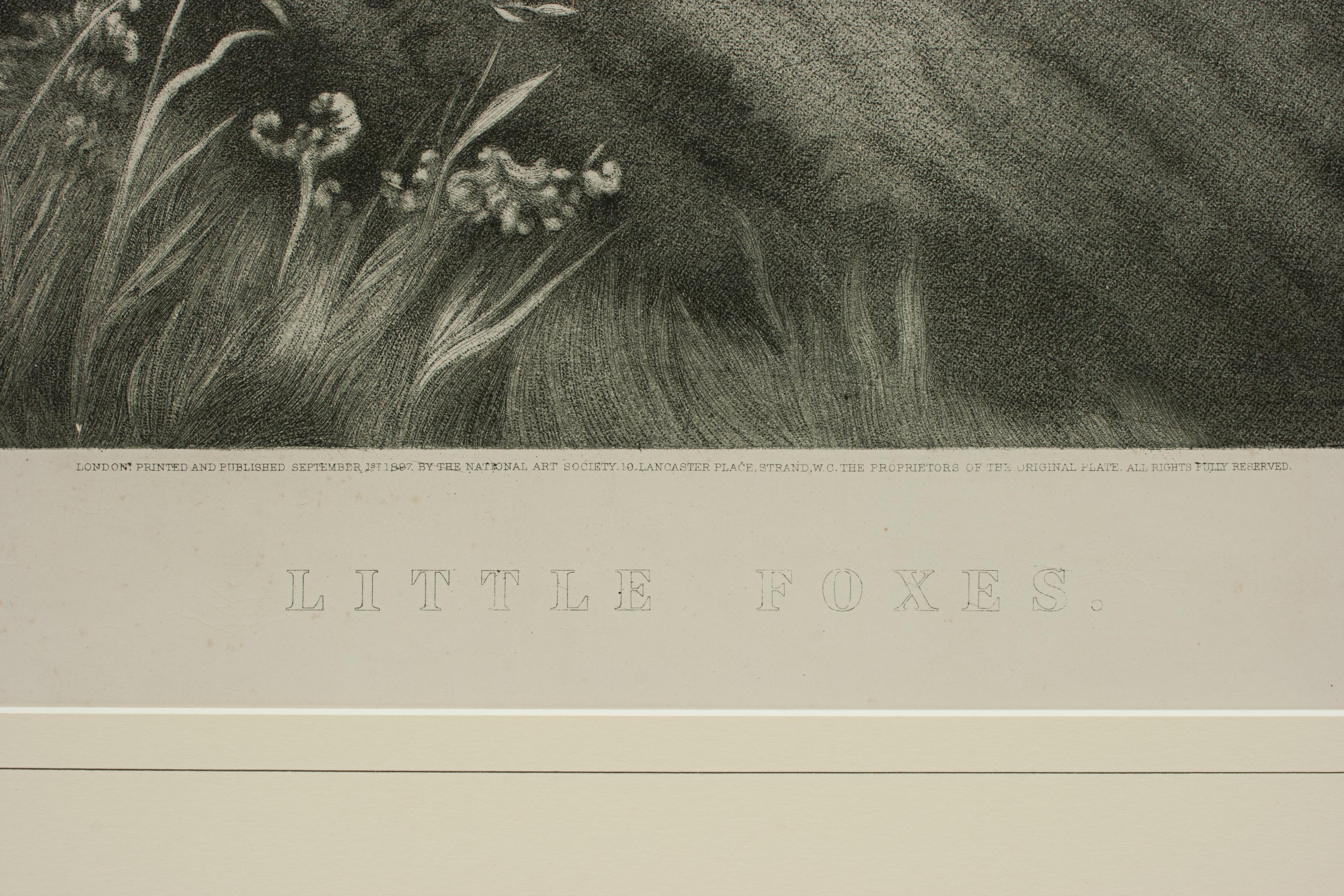 Late 19th Century Little Foxes, Engraving by Samuel J. Carter