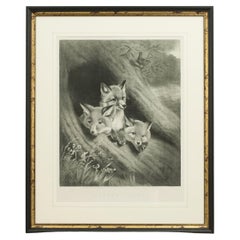 Petits renards, gravure de Samuel J. Carter