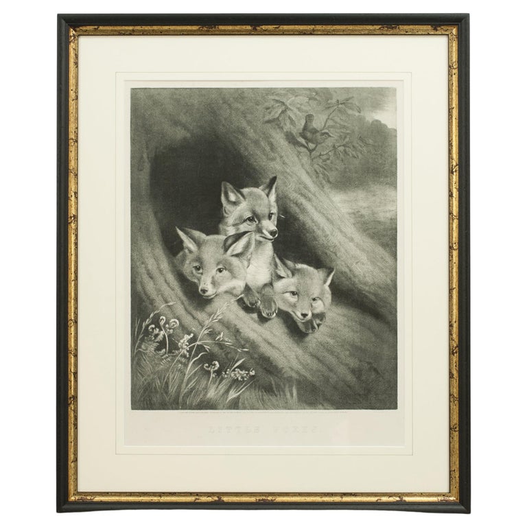 Little Foxes, Engraving by Samuel J. Carter